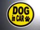 DOG in CAR�C�G���[�X�e�b�J�[������������Ă܂����V�[��