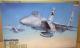 1/48 nZK AJR F-15C C[O