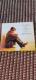 Soffio di vento Best of IZUMI SAKAI Selection