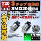 LED T20 ً ɐ 3SMD 20A ذ ߼޼݂ 