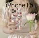 LeB  X}zP[X  iPhone15  VRP[X