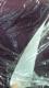 Ɣ̓FB
