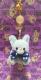 Ҳށ||}XRbgwHalloween̒ԒBxIIJ~@