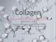 10���Z�b�g 1DAY Collagen Mask Pack �R���[�Q�� �}�X�N�p�b�N