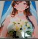 ���̂���@������߁@�P�_���@moeneko�E�G�f�B���O�d�l�@�@�o�X�^�I���@�z�^�y�X�g���[�@��P�O�T�~�T�T