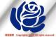 KNo/XebJ[(/blue roseu[[Yj8.5cmAOόf