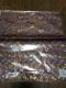 Eђn TCY36~38