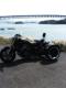 YAMAHA}n1200ccVmaxuC}bNXTRIKEgCNO֎ԃX[zC[ʖƋłȂm[wős\