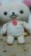 ݃bN}ʂ(^Ot)