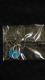 󂠂Ey_gEVi  gp  J  ݁