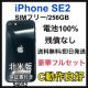ǍD@100% iPhone SE2 256 GB SIMt[@{