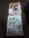 SKE48DVDQgw̓̃`CYȂxt^t