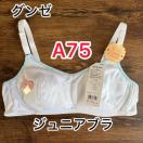 �V�i�^�O�t���@A75 �O���[�@�W���j�A�u�� �z���C�g�i���j���R�����@stage2 �����@���q���������@�K�[���Y�n�[�t�g�b�v