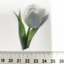 ���X�g��`���[���b�v�̃R���[�W���V�[���@395