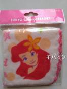 �f�B�Y�j�[���]�[�g�E�~�j�^�I���E�A���G���E�f�B�Y�j�[�����h�ETDL