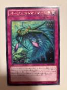 �V�Y���y㩁E�o�[�W�F�X�g�}�}�[�����z