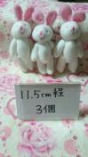 BIGTCYXgbv11.5cm3PfRɁ