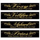 ピンスト ボクシー Luxury Style 金  30センチ