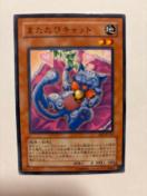 �V�Y���y�n�E�܂����уL���b�g�z