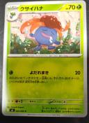 �N�T�C�n�i