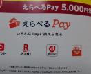 IׂPay5000~1000/1
