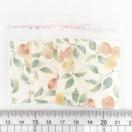 �����䎆�����OPP�܁@4���@577