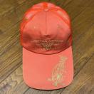 A NX`I[hWF[ Ghn[fB bVLbv IW m