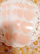 �����������s���N�F�n�[�g�^�V�[��5�Z�b�g��