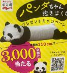 �p���_���������܂���/3000���l1��