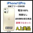 A 100% iPhone 12 Pro 256 GB SIM�t���[ �{��