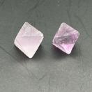 �V�R�΁@�t���[���C�g �p�[�v���n�@�Ǘ��ԍ��@