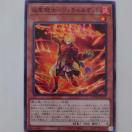 �V�Y���@�����R�m-���b�`�����f�b�g�@�m�[�}��