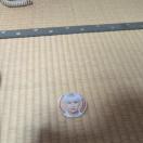 �^�����g�O�b�Y�ʃo�b�W