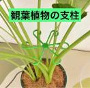 �ϗt�A���x���@�����X�e���@�΁@4�T�C�Y