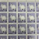 2�~�؎� 5���@���g�p�@�~�j���^�[����