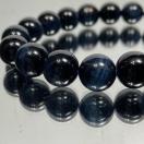 sNo.310tAtJY@VR΃u[^CK[AC