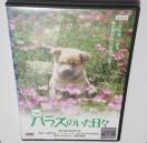 nana56b-d-.Rcm[nX̂X]DVD  \K vO cq LX yq