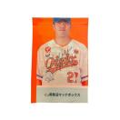 #27 �ЎR �I�I�� ���M�T�C������X�^�W�A���̂ڂ�