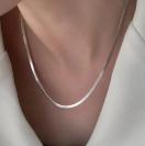 �ň��l���j�Z�b�N�X�X�e�����X�`�^���l�b�N���X