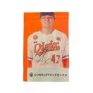 #47 �}�� �ˑ��Y�I�� ���M�T�C������X�^�W�A���̂ڂ�