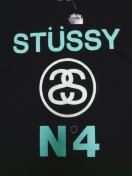 STUSSYT»StPARCOísurfٺlocalcolor