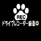 肉球 ドライブレコーダー録画中 12センチ