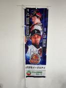 #29 �}���[�N�I��E#2 ���� �C�ƑI�� �I��̂ڂ�