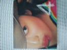 dksS