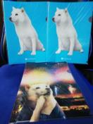 yNAt@Cz\tgoNCM  NAt@C@3Zbg