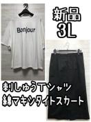 Vi3L􃍃ShイTVc}LV^CgXJ[g100G904