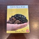 �Ă̂�t�����Y�@���j�K��