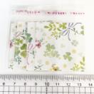 �����䎆�����OPP�܁@4���@31