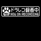 肉球 ドラレコ録画中 15センチ
