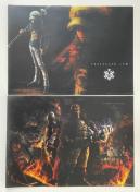 yONE PIECE/s[Xz`}bg Q